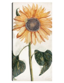 Foto 1 | Foto 1 | Cuadro Decorativo - Girasol (1688-1698)- Johan Teyler - Floral - 54x102 - Impresión En Lienzo - Fine Art Tj