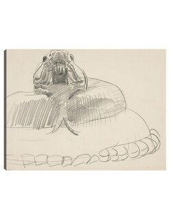 Foto 1 | Foto 1 | Cuadro Decorativo - Serpiente De Cascabel- John Singer Sargent - Fotografía - 69x92 - Impresión En Lienzo - Fine Art Tj