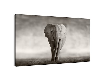 Foto 1 | Foto 1 | Cuadro Decorativo Entelado 70x120cm Elefante Majestuoso Elegancia y Fuerza en tu Espacio