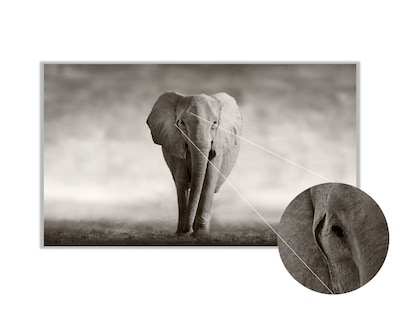 Foto 3 | Foto 3 | Cuadro Decorativo Entelado 70x120cm Elefante Majestuoso Elegancia y Fuerza en tu Espacio