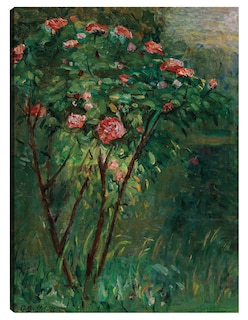 Foto 1 | Foto 1 | Cuadro Decorativo - El Rosal En Flor (c. 1884-1885)- Gustave Caillebotte - Floral - 69x92 - Impresión En Lienzo - Fine Art Tj