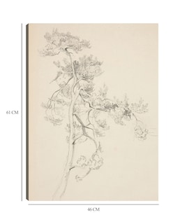 Foto 6 | Foto 6 | Cuadro Decorativo - Árbol Y Follaje- John Singer Sargent - Abstracto - 46x61 - Impresión En Lienzo - Fine Art Tj
