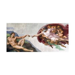 Foto 1 | Foto 1 | Cuadro Entelado La Creación 70cmx120cm