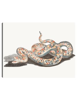 Foto 1 | Foto 1 | Cuadro Decorativo - Una Serpiente- Johan Teyler - Animales - 46x61 - Impresión En Lienzo - Fine Art Tj