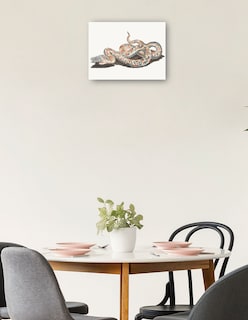 Foto 2 | Foto 2 | Cuadro Decorativo - Una Serpiente- Johan Teyler - Animales - 46x61 - Impresión En Lienzo - Fine Art Tj