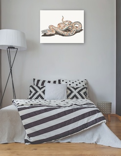 Foto 3 | Foto 3 | Cuadro Decorativo - Una Serpiente- Johan Teyler - Animales - 46x61 - Impresión En Lienzo - Fine Art Tj