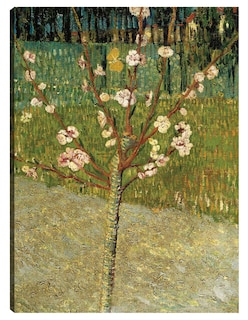 Foto 1 | Foto 1 | Cuadro Decorativo - Almendro En Flor- Vincent Van Gogh - Floral - 46x61 - Impresión En Lienzo - Fine Art Tj
