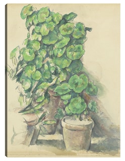 Foto 1 | Foto 1 | Cuadro Decorativo - Geranios (1888-1890)- Paul Cézanne - Floral - 46x61 - Impresión En Lienzo - Fine Art Tj