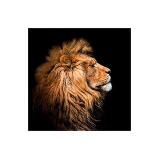 Foto 1 | Foto 1 | Cuadro Entelado The Lion 70cmx120cm