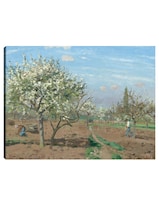 Cuadro Decorativo - Huerto En Flor Louveciennes- Camille Pissarro - Religión - 46x61 - Impresión En Lienzo - Fine Art Tj