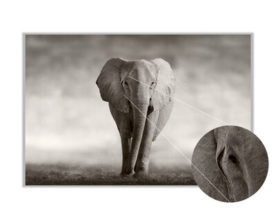 Foto 3 | Foto 3 | Cuadro Decorativo Entelado 100X150 Elefante Majestuoso, Elegancia y Fuerza en tu Espacio