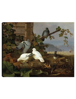 Foto 1 | Foto 1 | Cuadro Decorativo - Palomas- Ferdinand Von Wright - Religión - 46x61 - Impresión En Lienzo - Fine Art Tj