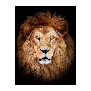 Foto 1 | Foto 1 | Cuadro Entelado León 100x150