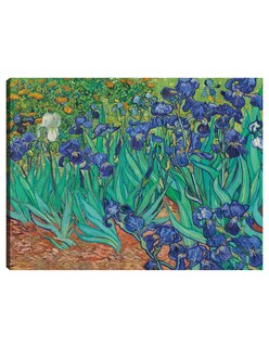 Foto 1 | Foto 1 | Cuadro Decorativo - Iris (1889)- Vincent Van Gogh - Floral - 107x143 - Impresión En Lienzo - Fine Art Tj