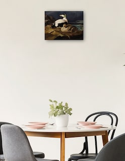 Foto 2 | Foto 2 | Cuadro Decorativo - Par De Eiders Comunes Sobre Una Roca (1869)- Ferdinand Von Wright - Religión - 46x61 - Fine Art Tj