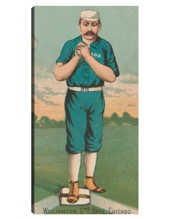 Foto 1 | Foto 1 | Cuadro Decorativo - Ned Williamson, Medias Blancas De Chicago,- Library Of Congress - 54x102 - Fine Art Tj