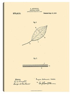 Foto 1 | Foto 1 | Cuadro Decorativo - Flor Artificial Patentada, Inventor: William A. Warner, 13 De Septiembre De 1910-28x36-fine Art Tj
