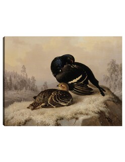 Foto 1 | Foto 1 | Cuadro Decorativo - Urogallo Negro, Gallo Y Gallina (1869)- Ferdinand Von Wright - Religión - 28x36 - Fine Art Tj
