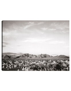 Foto 1 | Foto 1 | Cuadro Decorativo - Cerca Del Monumento Nacional Del Valle De La Muerte, California- Ansel Adams - 46x61 - Fine Art Tj
