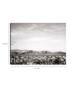 Foto 6 | Foto 6 | Cuadro Decorativo - Cerca Del Monumento Nacional Del Valle De La Muerte, California- Ansel Adams - 46x61 - Fine Art Tj