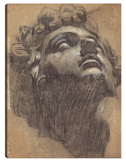Foto 1 | Foto 1 | Cuadro Decorativo - Cabeza De Giuliano De Medici (década De 1540)- Jacopo Tintoretto - Fotografía - 46x61 - Fine Art Tj