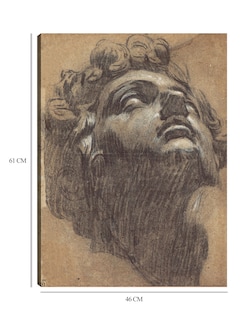 Foto 6 | Foto 6 | Cuadro Decorativo - Cabeza De Giuliano De Medici (década De 1540)- Jacopo Tintoretto - Fotografía - 46x61 - Fine Art Tj
