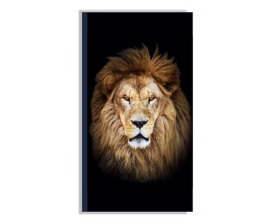 Foto 1 | Foto 1 | Retrato de un León Africano Cuadro Entelado 70x120 cm