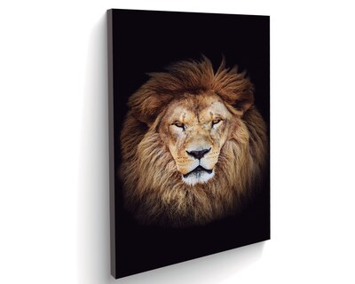 Foto 2 | Foto 2 | Retrato de un León Africano Cuadro Entelado 70x120 cm