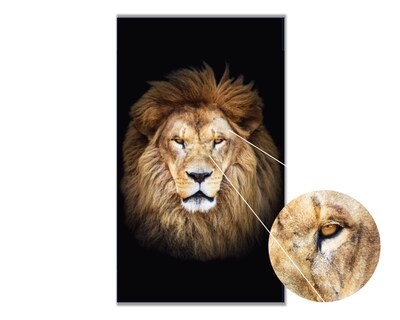 Foto 4 | Foto 4 | Retrato de un León Africano Cuadro Entelado 70x120 cm