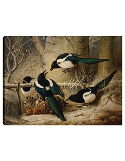 Foto 1 | Foto 1 | Cuadro Decorativo - Urracas Alrededor De Un Urogallo Hembra Muerta (1867)- Ferdinand Von Wright - Religión - 46x61 - Fine Art Tj