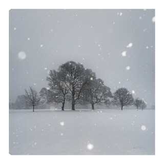 Foto 1 | Foto 1 | Cuadro Decorativo Fine Art TJ 'Árboles en la Nieve' de Andre Eichman 94 x 94 cm