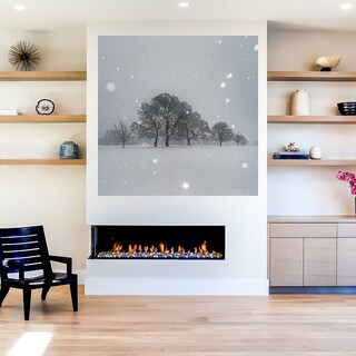Foto 5 | Foto 5 | Cuadro Decorativo Fine Art TJ 'Árboles en la Nieve' de Andre Eichman 94 x 94 cm