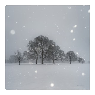 Foto 1 | Foto 1 | Cuadro Decorativo Fine Art TJ 'Árboles en la Nieve' de Andre Eichman 82 x 82 cm