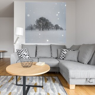 Foto 4 | Foto 4 | Cuadro Decorativo Fine Art TJ 'Árboles en la Nieve' de Andre Eichman 82 x 82 cm