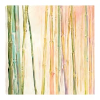 Cuadro Decorativo Fine Art Tj Bambú Ii  Dina D'argo