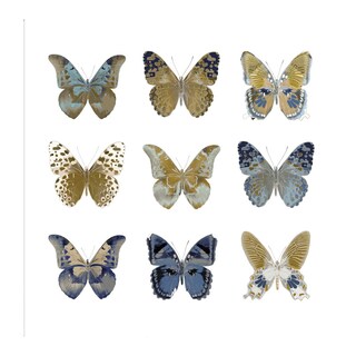 Foto 1 | Foto 1 | Cuadro Decorativo - Estudio De Mariposa I - Julia Bosco - Arte Animales - Impresión En Lienzo - Fine Art Tj