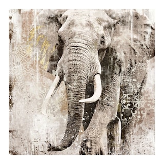 Foto 1 | Foto 1 | Cuadro Decorativo - Elefante De Retrato De Marfil - Heather Hayes - Arte Animales - Impresión En Lienzo - Fine Art Tj