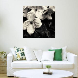 Foto 3 | Foto 3 | Cuadro Decorativo - Flor De Cornejo No.3 - Gary Horsfall - Arte Floral - Impresión En Lienzo - Fine Art Tj