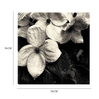 Foto 6 | Foto 6 | Cuadro Decorativo - Flor De Cornejo No.3 - Gary Horsfall - Arte Floral - Impresión En Lienzo - Fine Art Tj