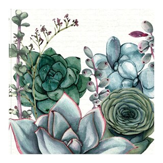 Foto 1 | Foto 1 | Cuadro Decorativo Fine Art TJ 'Jardín de Suculentas I' de Susan Jill 56 x 56 cm