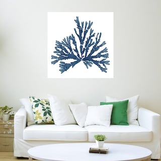 Foto 3 | Foto 3 | Cuadro Decorativo Fine Art Tj Musgos del Mar del Pacífico Azul Iv Wild Apple Portfolio