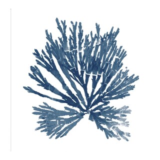 Foto 1 | Foto 1 | Cuadro Decorativo - Musgos Del Mar Del Pacífico Azul Ii - Wild Apple Portfolio - Arte Floral - Impresión En Lienzo-fine Art Tj