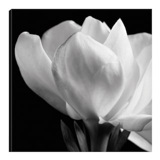 Foto 1 | Foto 1 | Cuadro Decorativo - Gardenia - Michael Harrison - Arte Moderno - Impresión En Lienzo - Fine Art Tj