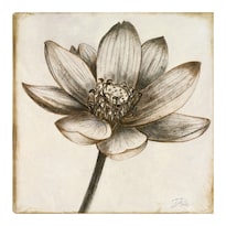 Cuadro Decorativo - Loto En Sepia Ii - Patricia Pinto  - Arte Floral - Impresión En Lienzo - Fine Art Tj