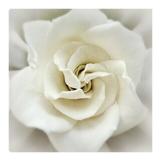 Foto 1 | Foto 1 | Cuadro Decorativo Fine Art TJ 'Gardenia Desteñida' de Rebecca Swanson 56 x 56 cm