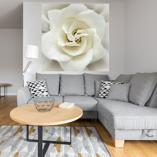 Foto 4 | Foto 4 | Cuadro Decorativo Fine Art TJ 'Gardenia Desteñida' de Rebecca Swanson 56 x 56 cm