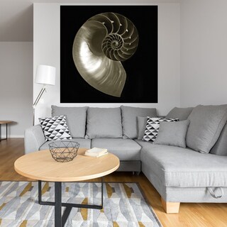 Foto 4 | Foto 4 | Cuadro Decorativo Fine Art Tj Nautilo Sobre Negro Ilona Wellmann