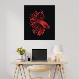 Foto 2 | Foto 2 | Cuadro Decorativo Fine Art Tj Pescado Beta Rojo Incado Arte Animales Impresión en Lienzo