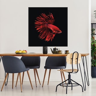 Foto 3 | Foto 3 | Cuadro Decorativo Fine Art Tj Pescado Beta Rojo Incado Arte Animales Impresión en Lienzo