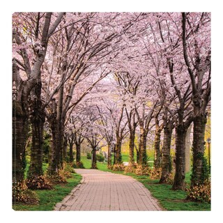 Foto 1 | Foto 1 | Cuadro Decorativo Fine Art Tj Sendero de Cerezo Chuck Burdick Arte Paisaje Impresión en Lienzo